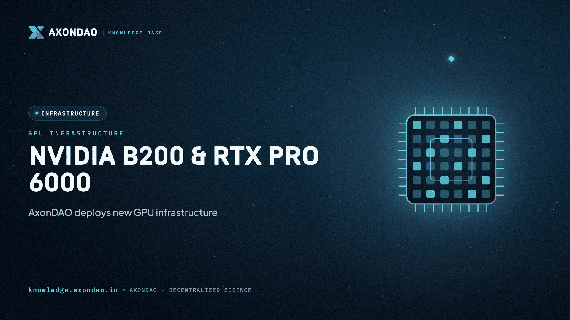 NVIDIA B200 & RTX PRO 6000